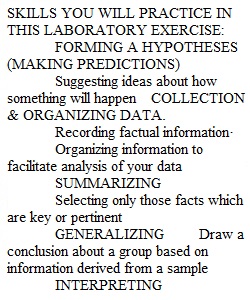 Scientific Method Lab